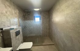 Casa 3 camere de inchiriat, 100 mp, zona Viile Noi