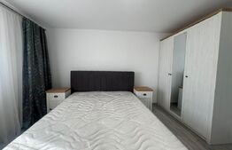 Casa 3 camere de inchiriat, 100 mp, zona Viile Noi