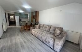 Casa 3 camere de inchiriat, 100 mp, zona Viile Noi