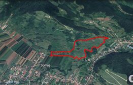 Teren extravilan de 12,24 hectare în Șoimuș — doar 3 lei/mp!