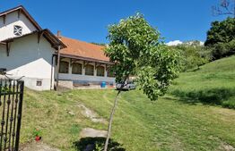 Casă de Familie | 175 mp + Curte 3166 mp | Tătărăști, Burjuc | COMISION 0%