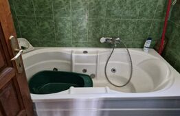 Casă de Familie | 175 mp + Curte 3166 mp | Tătărăști, Burjuc | COMISION 0%