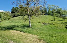 Casă de Familie | 175 mp + Curte 3166 mp | Tătărăști, Burjuc | COMISION 0%