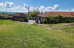 Casă de Familie | 175 mp + Curte 3166 mp | Tătărăști, Burjuc | COMISION 0%