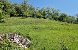 Casă de Familie | 175 mp + Curte 3166 mp | Tătărăști, Burjuc | COMISION 0%