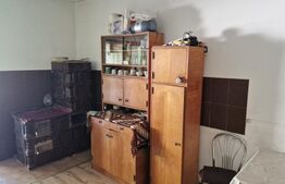 Casă de Familie | 175 mp + Curte 3166 mp | Tătărăști, Burjuc | COMISION 0%