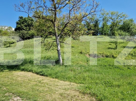 Casa de vânzare 4 camere Tatarasti - 181288CV | BLITZ Deva | Poza12