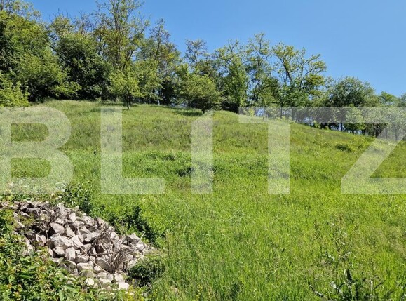 Casa de vânzare 4 camere Tatarasti - 181288CV | BLITZ Deva | Poza13