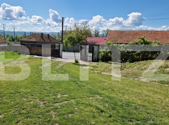 Casa de vânzare 4 camere Tatarasti - 181288CV | BLITZ Deva | Poza6