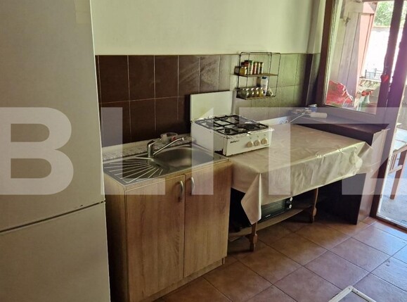 Casa de vânzare 4 camere Tatarasti - 181288CV | BLITZ Deva | Poza8