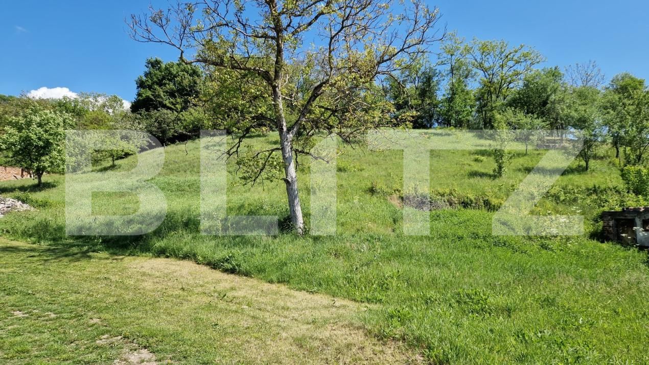 Casa de vânzare 4 camere Tatarasti - 181288CV | BLITZ Deva | Poza12