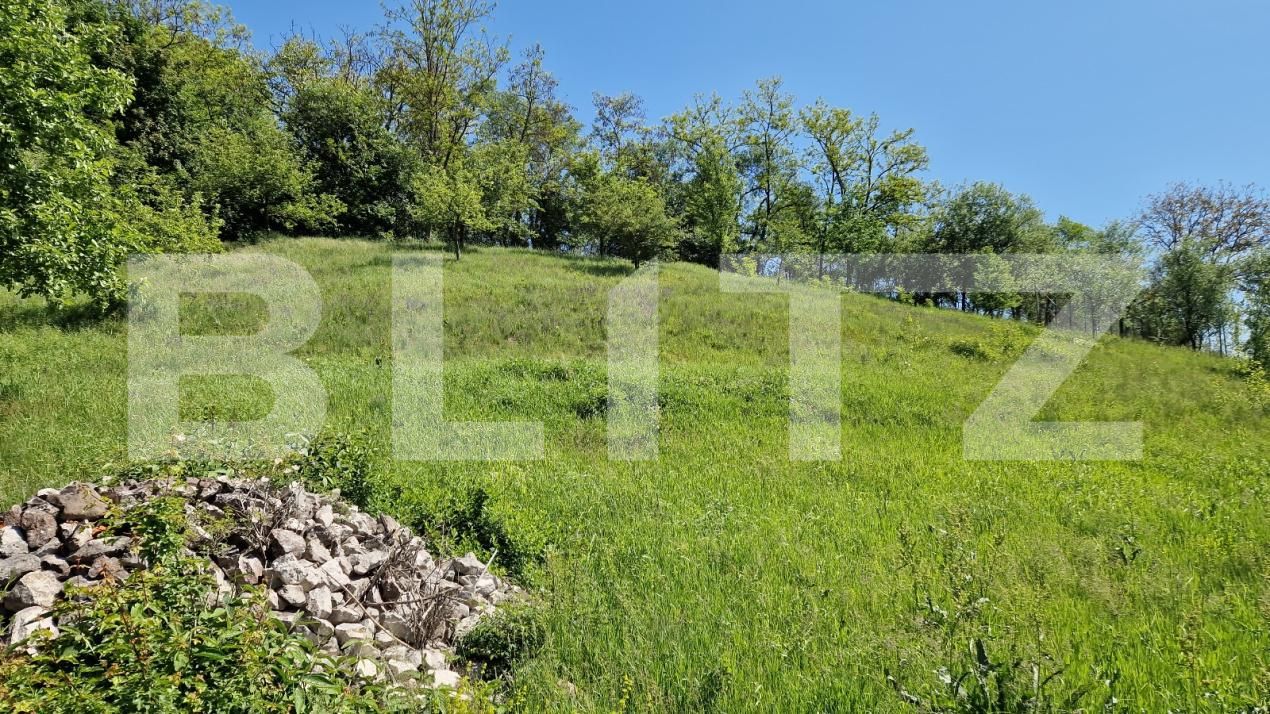 Casa de vânzare 4 camere Tatarasti - 181288CV | BLITZ Deva | Poza13