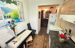 Apartament 2 camere, semidecomandat, 40 mp, zona Micro – mobilat și utilat 