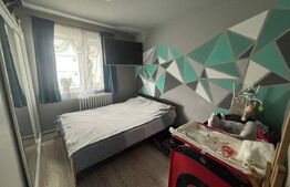 Apartament cu 2 camere, renovat complet – Zona Minerului, etaj 1