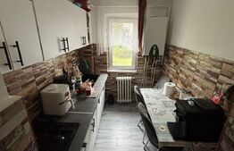 Apartament cu 2 camere, renovat complet – Zona Minerului, etaj 1