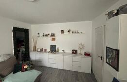 Apartament cu 2 camere, renovat complet – Zona Minerului, etaj 1