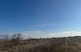 Teren de vânzare Periferie - 169065TV | BLITZ Deva | Poza3