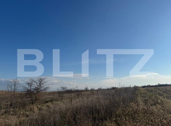 Teren de vânzare Zavoi - 181753TV | BLITZ Deva | Poza1