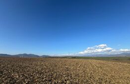 Teren extravilan agricol 5700 mp, Cristur 