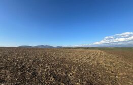 Teren extravilan agricol 5700 mp, Cristur 