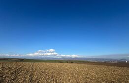 Teren extravilan agricol 5700 mp, Cristur 