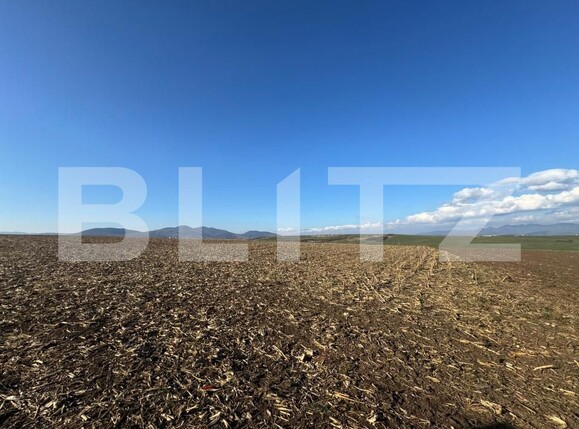 Teren de vânzare Cristur - 181754TV | BLITZ Deva | Poza3