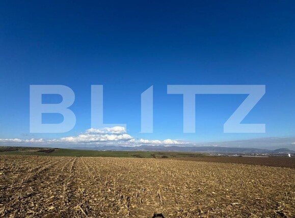 Teren de vânzare Cristur - 181754TV | BLITZ Deva | Poza1