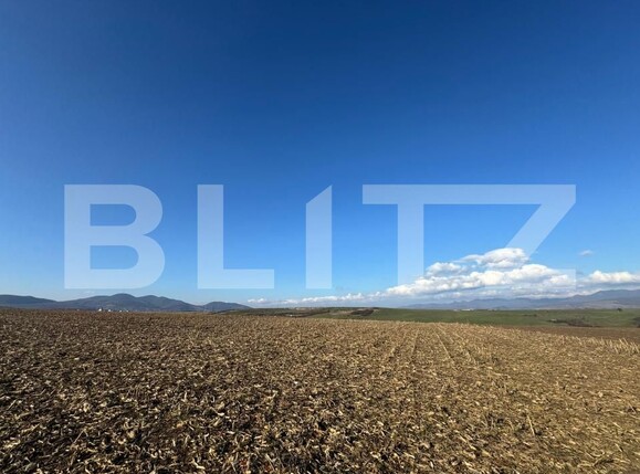 Teren de vânzare Cristur - 181754TV | BLITZ Deva | Poza2