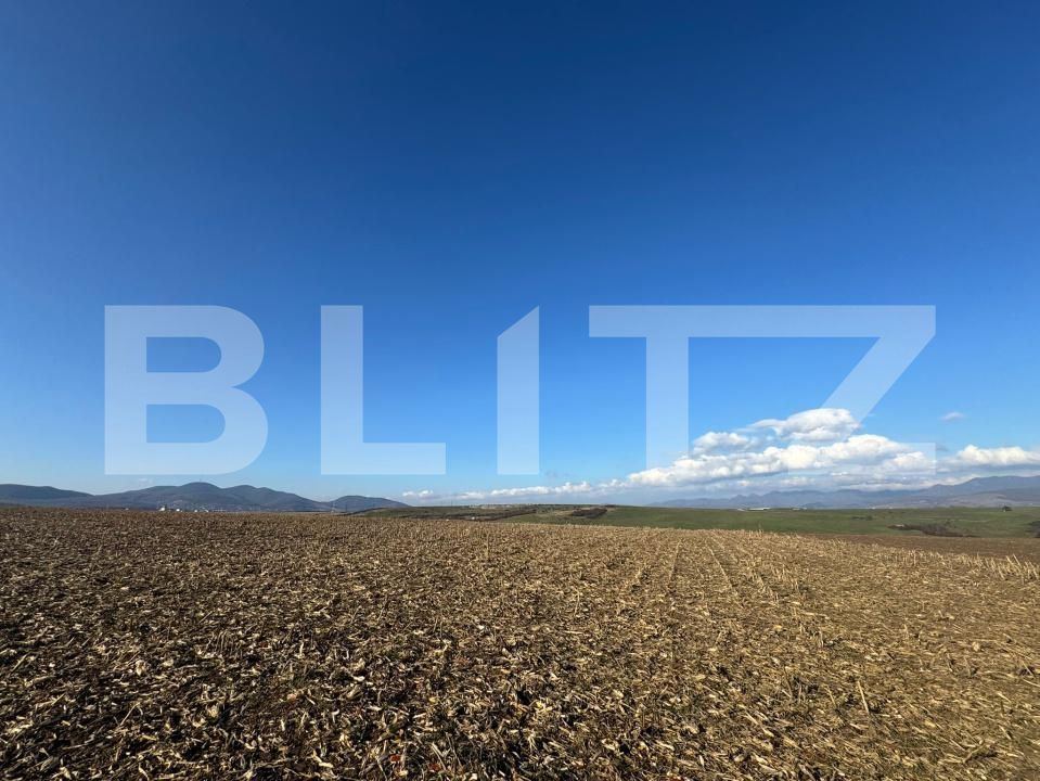 Teren de vânzare Cristur - 181754TV | BLITZ Deva | Poza2