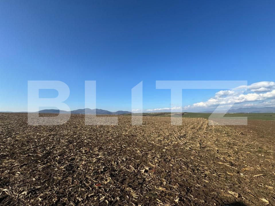 Teren de vânzare Cristur - 181754TV | BLITZ Deva | Poza3