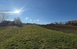 Teren extravilan 2700mp in Carjiti