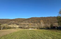 Teren extravilan 2700mp in Carjiti