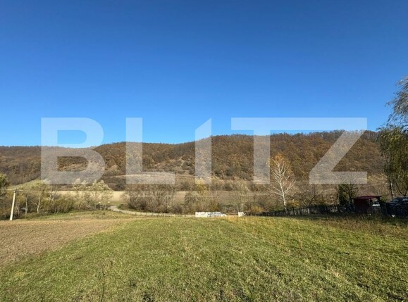 Teren de vânzare Cozia - 181755TV | BLITZ Deva | Poza1