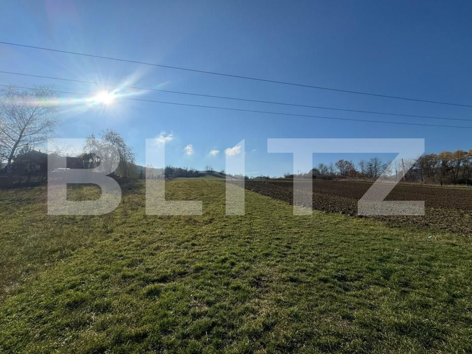 Teren de vânzare Cozia - 181755TV | BLITZ Deva | Poza2