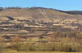 5 terenuri extravilane agricole cu suprafata totala de 13.374 mp