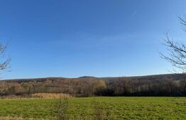 5 terenuri extravilane agricole cu suprafata totala de 13.374 mp