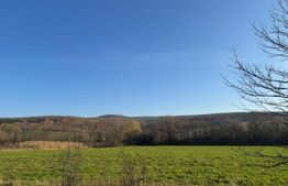 5 terenuri extravilane agricole cu suprafata totala de 13.374 mp