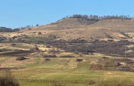 5 terenuri extravilane agricole cu suprafata totala de 13.374 mp