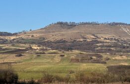 5 terenuri extravilane agricole cu suprafata totala de 13.374 mp