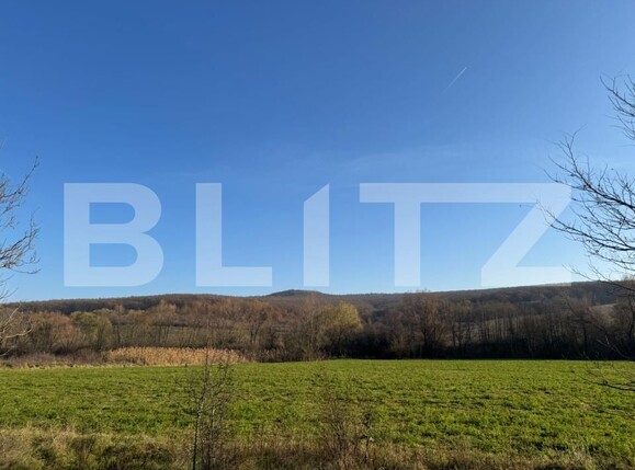 Teren de vânzare Calan - 182169TV | BLITZ Deva | Poza2