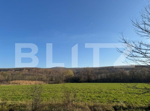 Teren de vânzare Calan - 182169TV | BLITZ Deva | Poza1