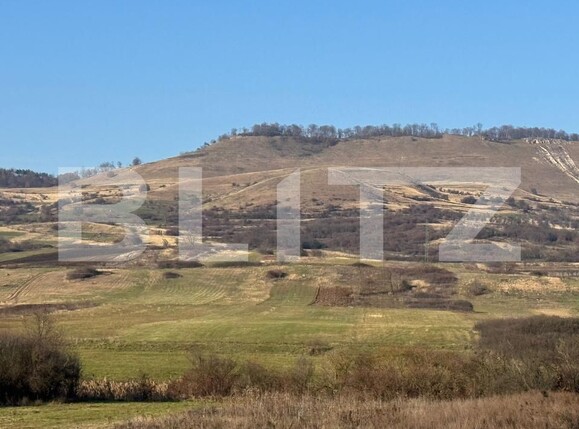 Teren de vânzare Calan - 182169TV | BLITZ Deva | Poza3