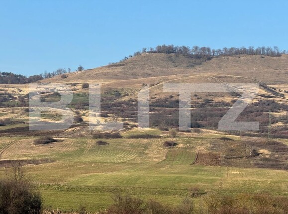 Teren de vânzare Calan - 182169TV | BLITZ Deva | Poza4