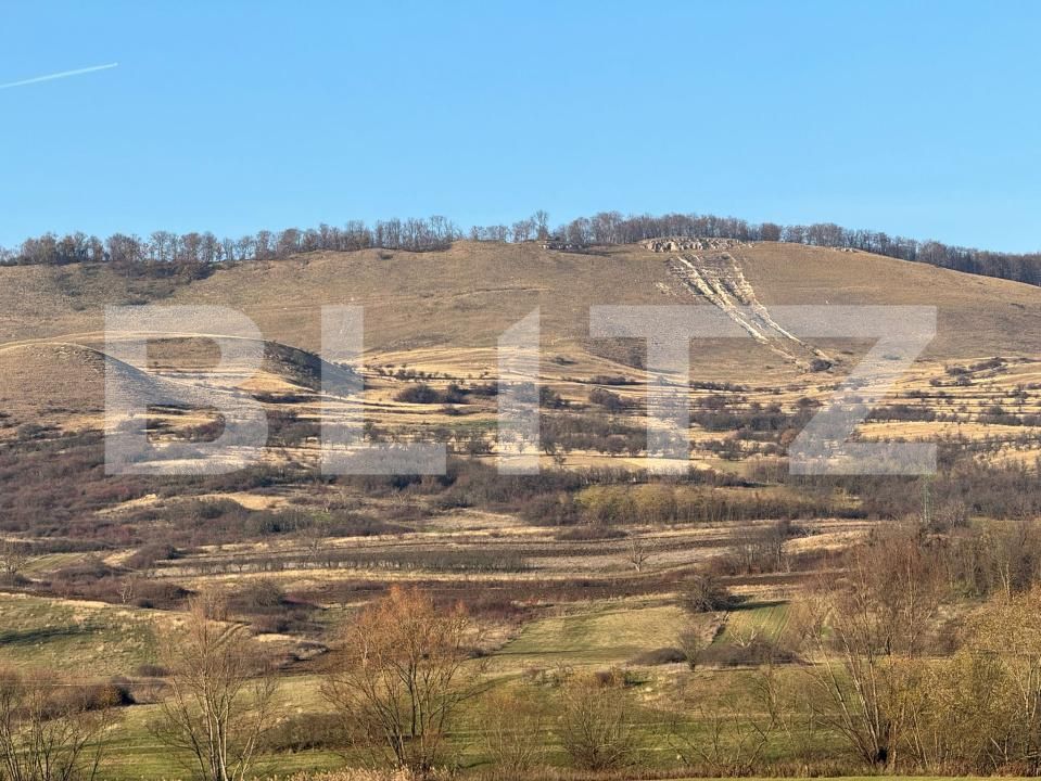 Teren de vânzare Calan - 182169TV | BLITZ Deva | Poza6