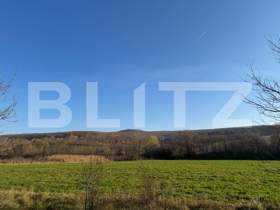 Teren de vânzare Calan - 182169TV | BLITZ Deva | Poza2