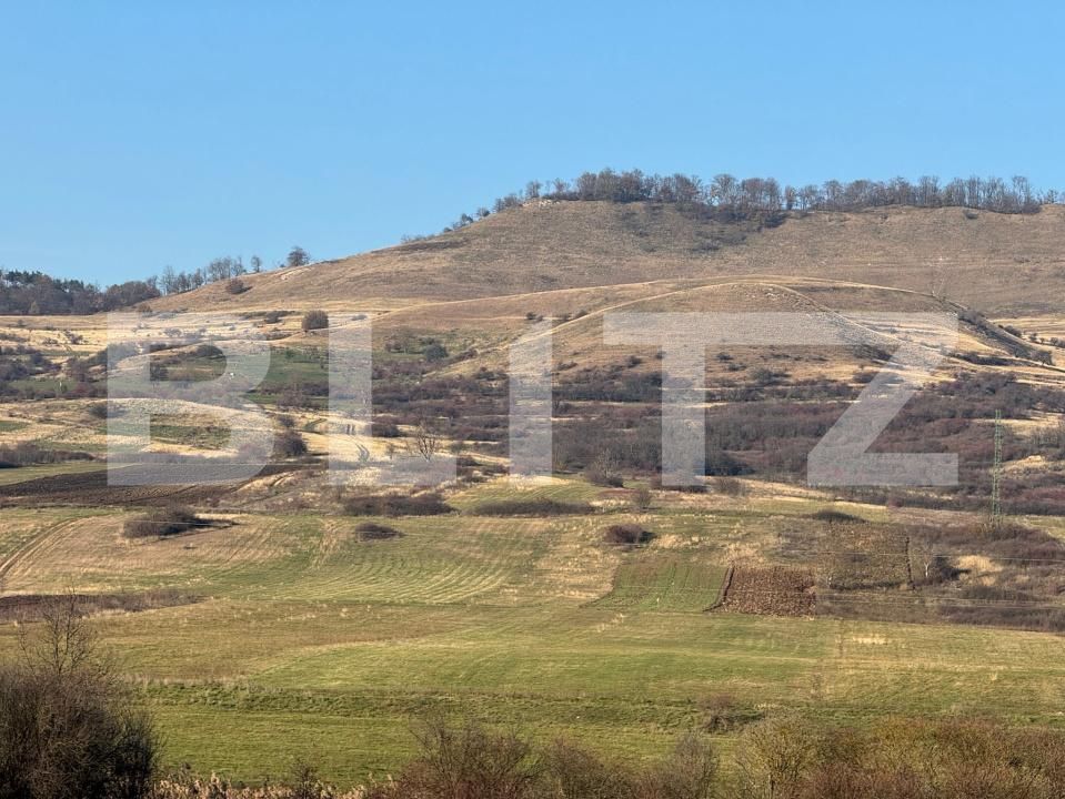 Teren de vânzare Calan - 182169TV | BLITZ Deva | Poza4