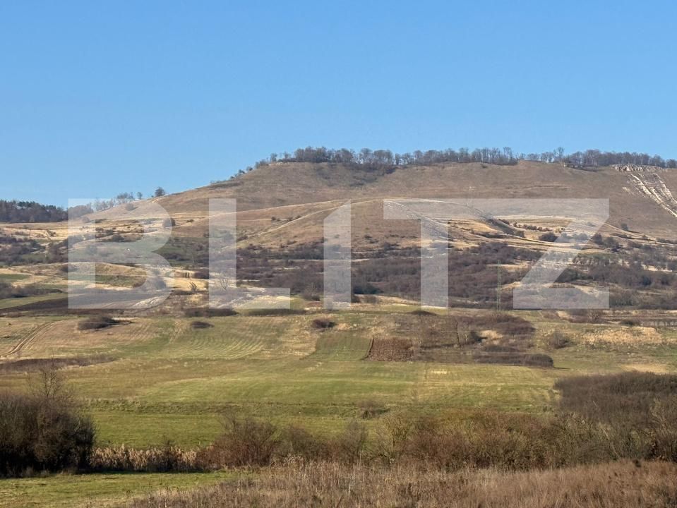 Teren de vânzare Calan - 182169TV | BLITZ Deva | Poza3