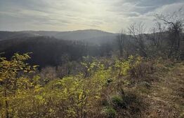 Teren extravilan impadurit, 8271 mp ideal pentru investitie.