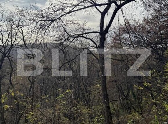 Teren de vânzare Cerbal - 182353TV | BLITZ Deva | Poza3