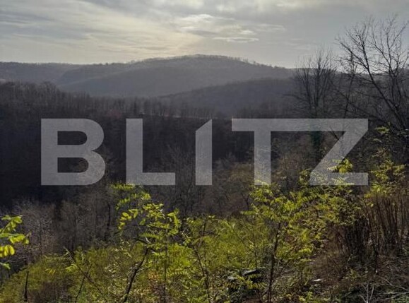 Teren de vânzare Cerbal - 182353TV | BLITZ Deva | Poza2